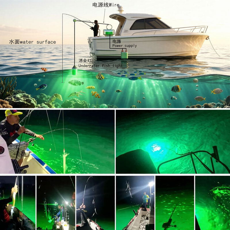 under water fish lights